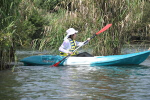 DSC_4132.JPG